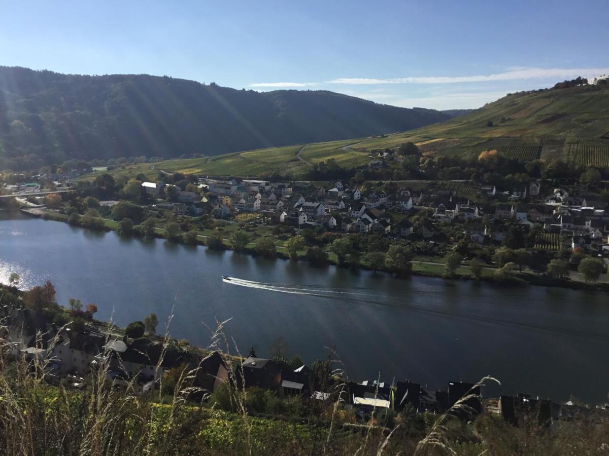 Mosel-Appartements Nehren Zell an der Mosel Exteriör bild