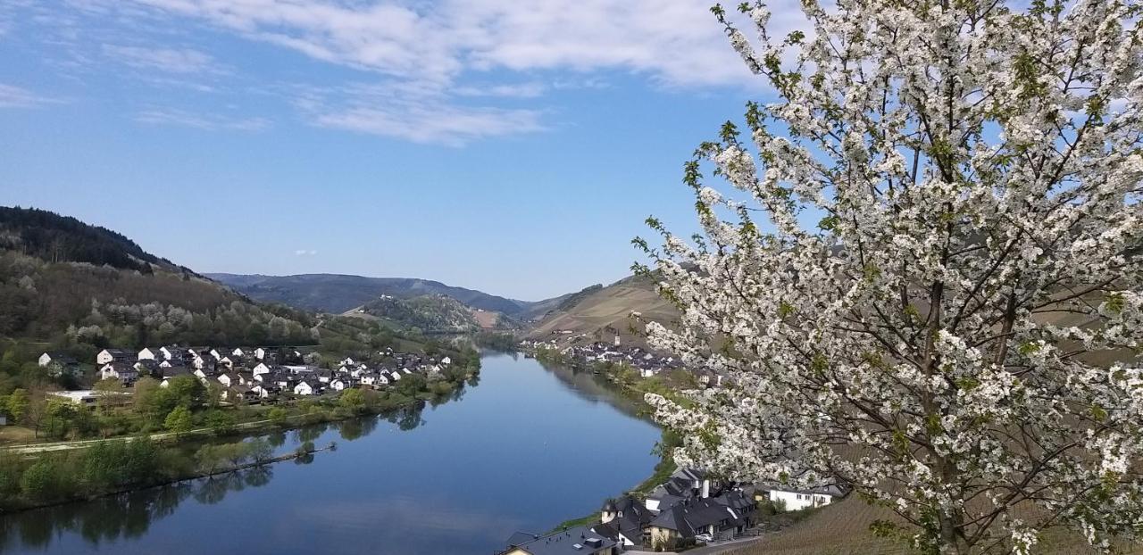 Mosel-Appartements Nehren Zell an der Mosel Exteriör bild